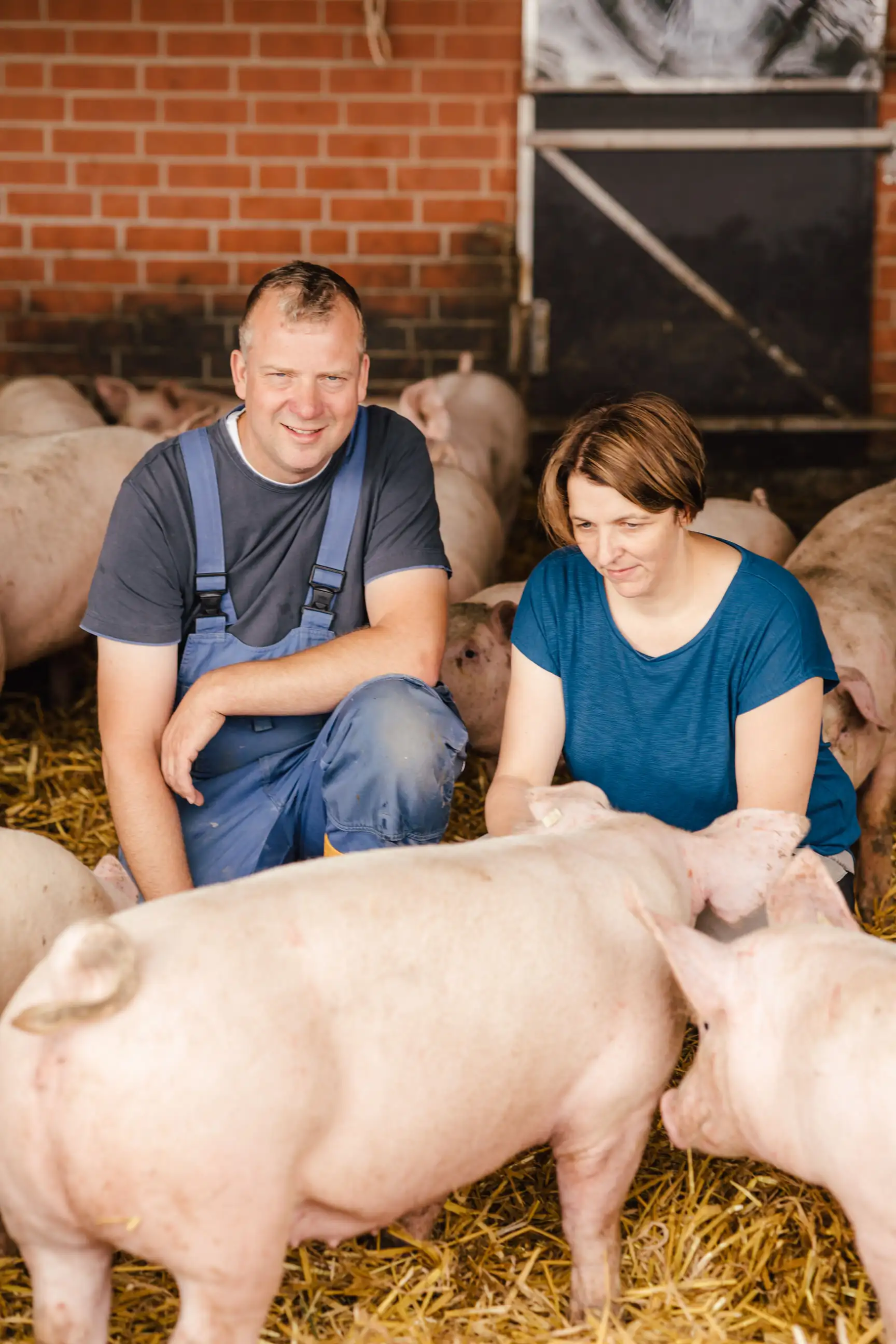 wurstbasar-strohschwein-bg3